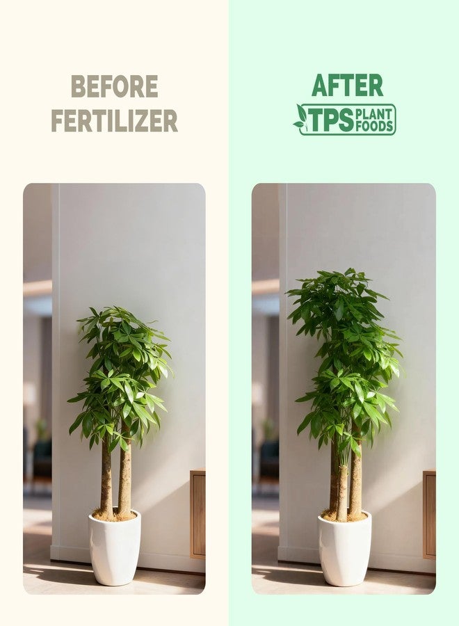 TPS NUTRIENTS Money Tree Fertilizer for Money Trees and All Pachira Plants, Liquid Plant Food 8 oz (250mL) - Image 3